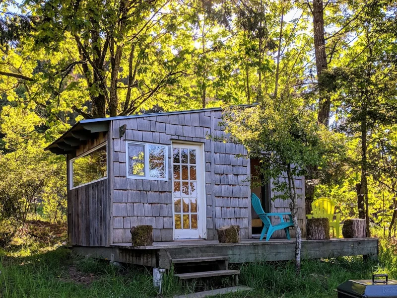 Salty Pear Studio Gallery, B&B and Sauna — photo 3