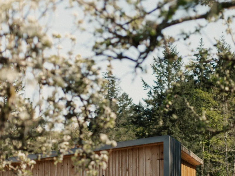 Salty Pear Studio Gallery, B&B and Sauna — photo 2