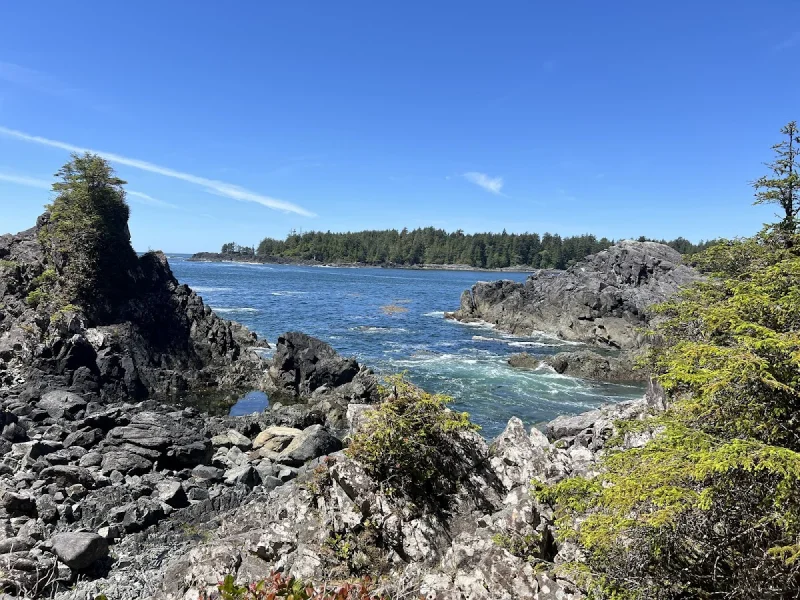 Rocky coastal cove with clear water and forested horizon