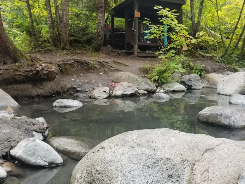 Forest hot spring pool with rustic cabin and boulders in lush rainforest