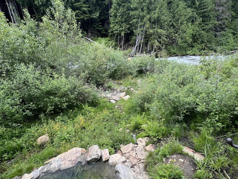 Small stone-edged hot spring pool overlooking a forest river in the wilderness